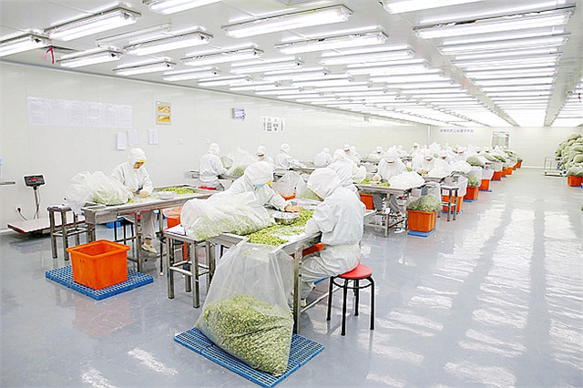 西安凈化工程廠家淺談生物實驗室工程設(shè)計要求有哪些？